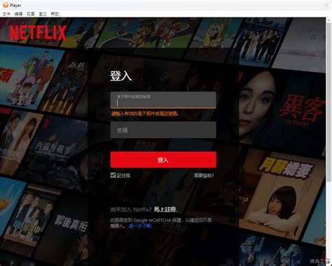 Pazu Netflix Video Downloader